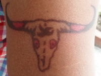 Tattoo gemalt Büffelschädel