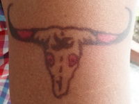 Tattoo gemalt Büffelschädel