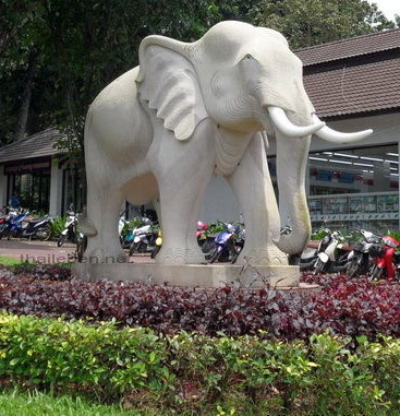 Koh-Chang Elefant mit seinem Mahut führer