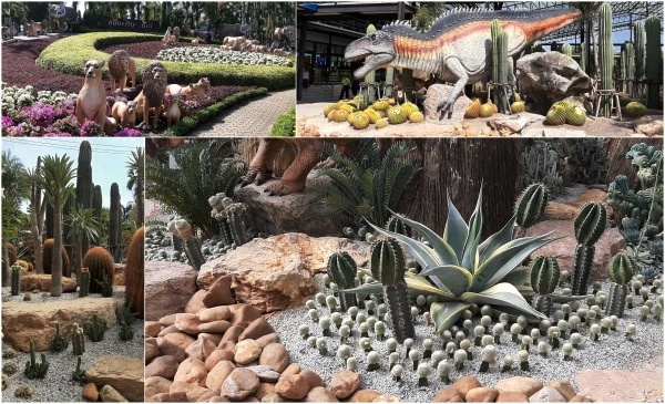 dreier collage dinosaurier kaktus