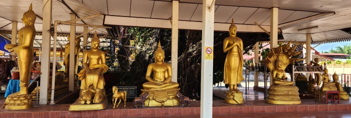 goldene buddhas