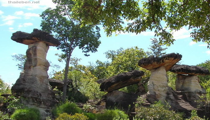 grosse Naturpilze aus Stein