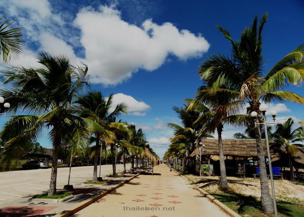 Palmenbild Pattaya Noi