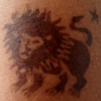 Tattoo gemalt Löwe