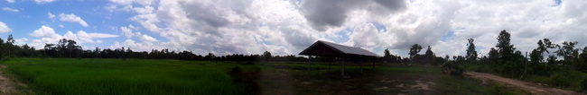 Panorama Reisfeld thaileben.net