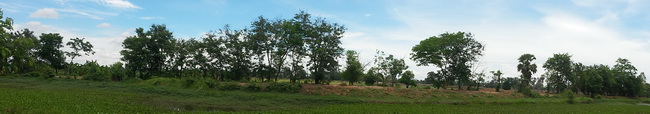 Panorama-Startbild grüne Landschaft thaileben.net